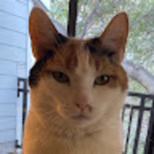 Meet your Posher, Angela